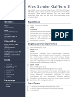 Curriculum Vitae