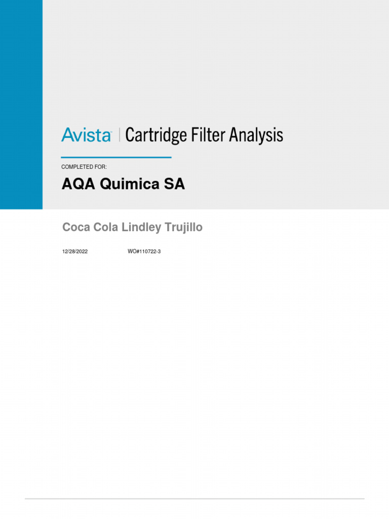 WO1107223 AQA Quimica Coca Cola Trujillo Cartridge Filter Report PDF Hydrochloric Acid
