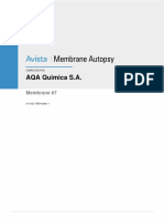 WO#120921-1 AQA Quimica S.A. Membrane #7 Autopsy Final Report
