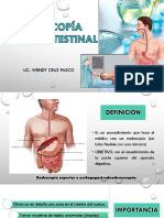 Sem 15 Endoscopia Post Mortem