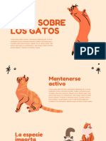 Presentación Gatos y Mascotas Ilustrada Sencilla A Mano Naranja