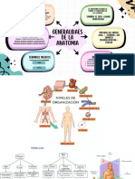 Apuntes de Anatomia