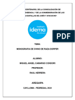 Ovino Raza Dorper PDF