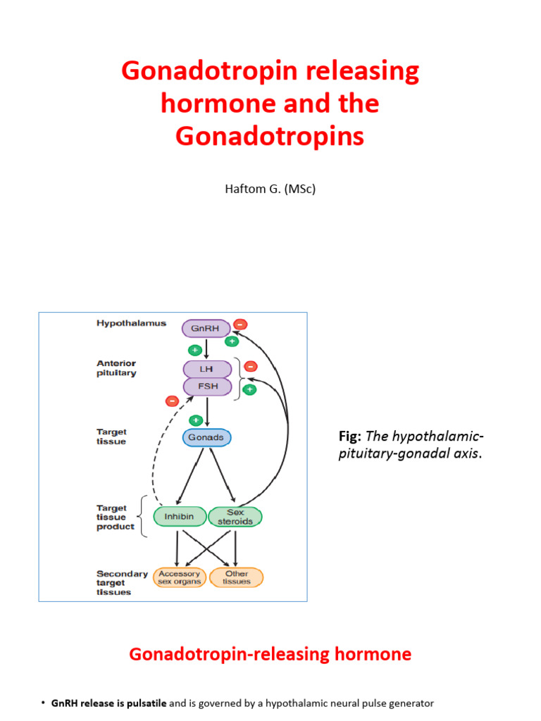 GNRH and Gonadotropins | PDF | Gonadotropin | Luteinizing Hormone