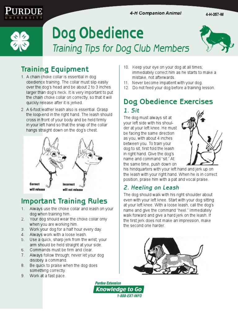 Dog Obedience Training Guide | PDF | Obedience Training | Domesticated ...