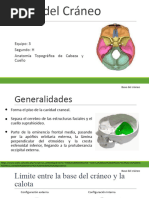 Estructura del Cráneo: Endobase y Exobase | PDF | Otorrinolaringología ...