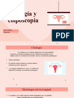 G&O - Citología y Colpos