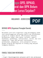 Muliawati-B2091222021-Audit Sektor Publik-Makalah Mengapa OPD BPKAD Inspektorat Dan BPK Belum Berjalan Lurus Atau Sejalan