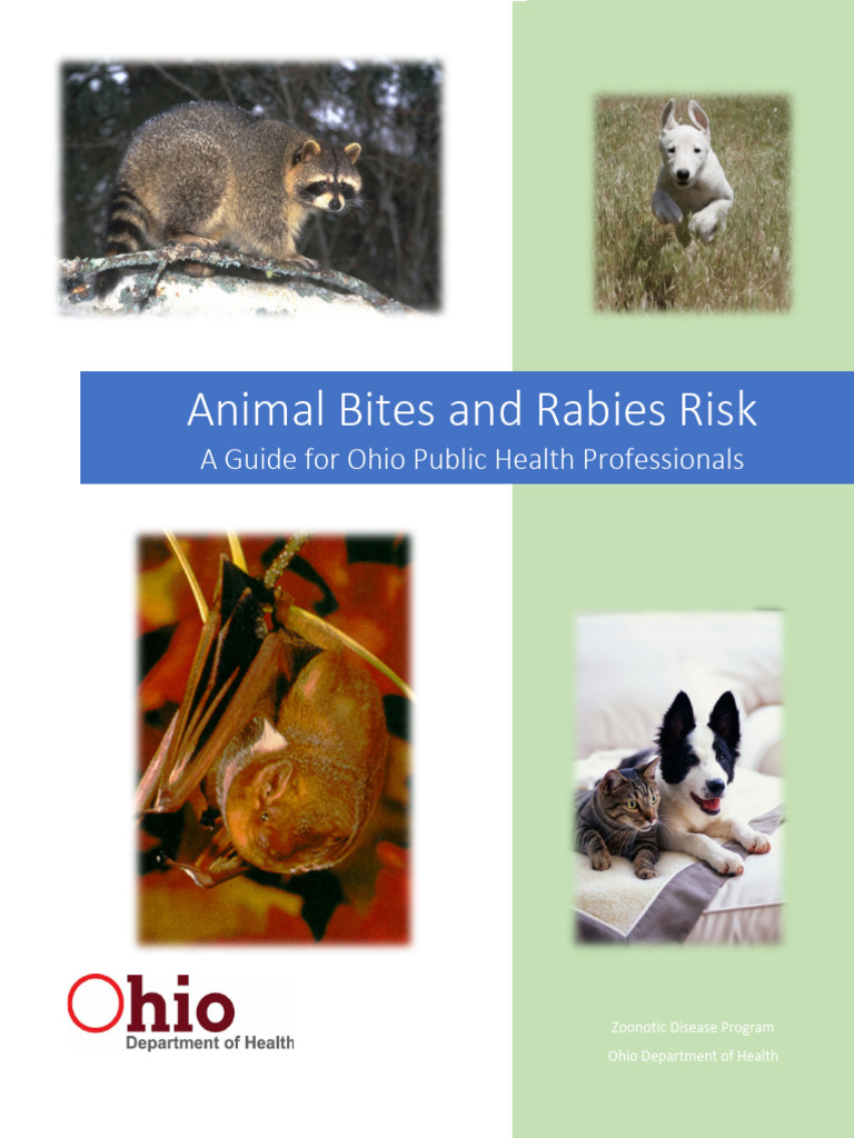 AnimalBitesandRabiesRiskAGuideforOhioPublicHealth