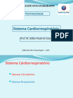 Sist Cardioresp