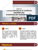 Sesión 12. Consecuencias en La Conducta Por Trastornos Del Neurodesarrollo