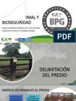 Sanidad Animal y Bioseguridad en Equidos BPG Plan Sanitario