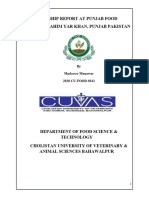 Mudasser Internship Report at Punjab Food Authority