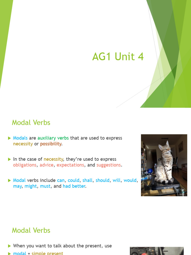 Modal Verbs Exercises Guide | PDF | Semantics | Morphology