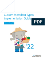 Custom Metadata Types Impl Guide