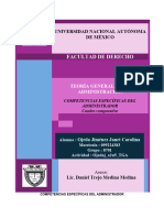 Tga - A2u5 - Ojeda Competencias Específicas Del Administrador