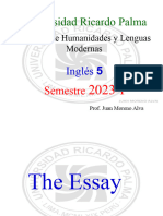 The Essay Samples