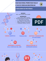 Diapos Metabolismo de Proteínas