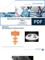 Clase 5. Daño Pulmonar Inducido Por La VM y VM Protectora - Parte 1.