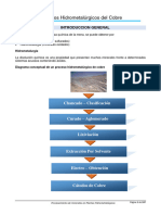 Texto Procesos Hidrometalúrgicos Del Cobre