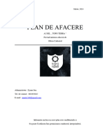 Planul de Afacere - Indrumar