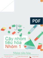 23DS112-Nhóm 1-Cây Thuốc Tiêu Hóa