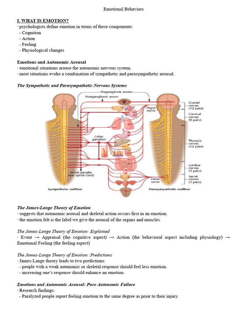 Understanding Emotional Responses | PDF | Amygdala | Emotions
