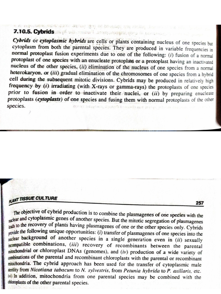 Document 7 | PDF