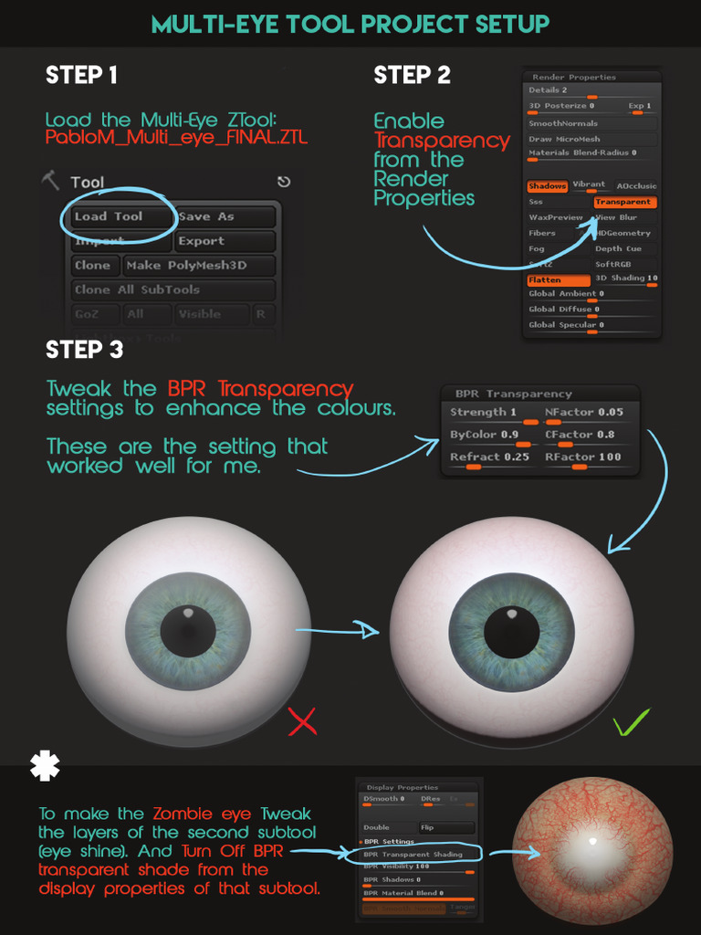 Multi-Eye Project Setup | PDF