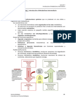 Serie #7. Introducción Al Metabolismo Intermediario