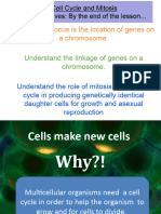 Cell Cycle and Mitosis Presentation