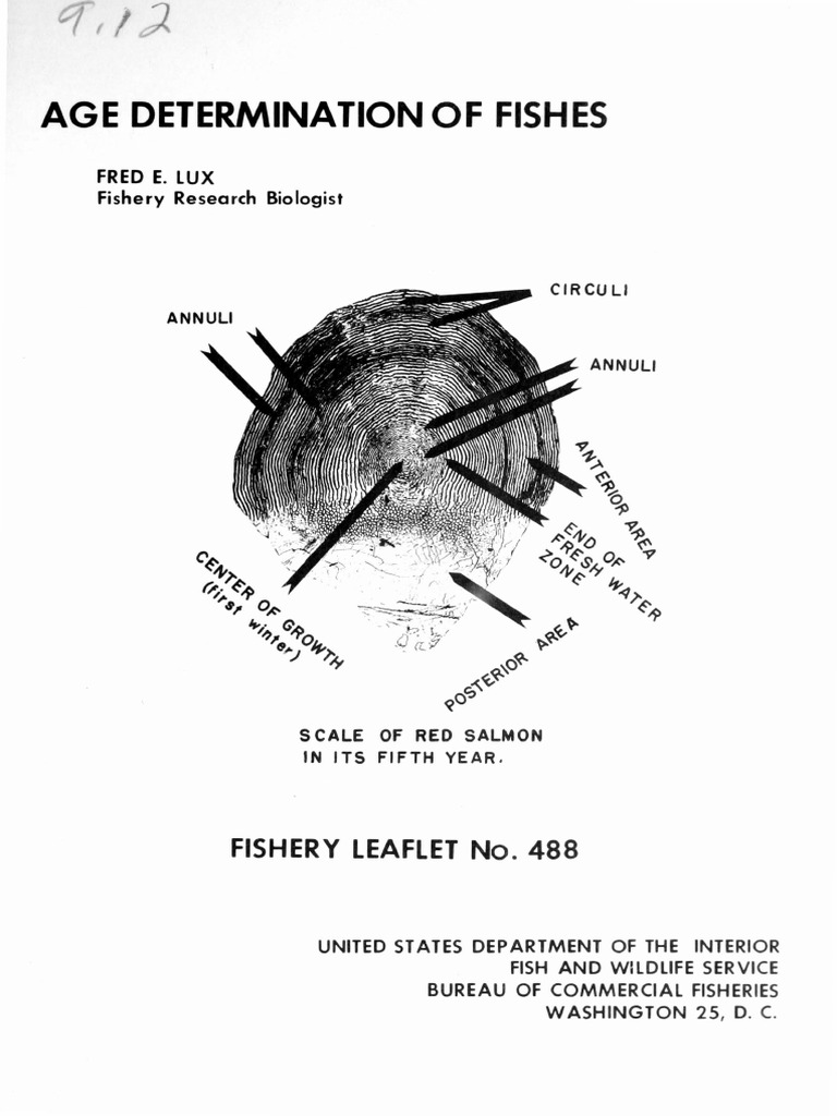 Age determination in fish PDF Fish