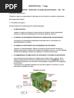 БИОЛОГИЈА 7 одд 2 | PDF