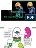 Embriologia III - Desarrollo Del Sistema Nervioso