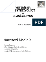 Veteriner Anesteziyoloji Uludag 