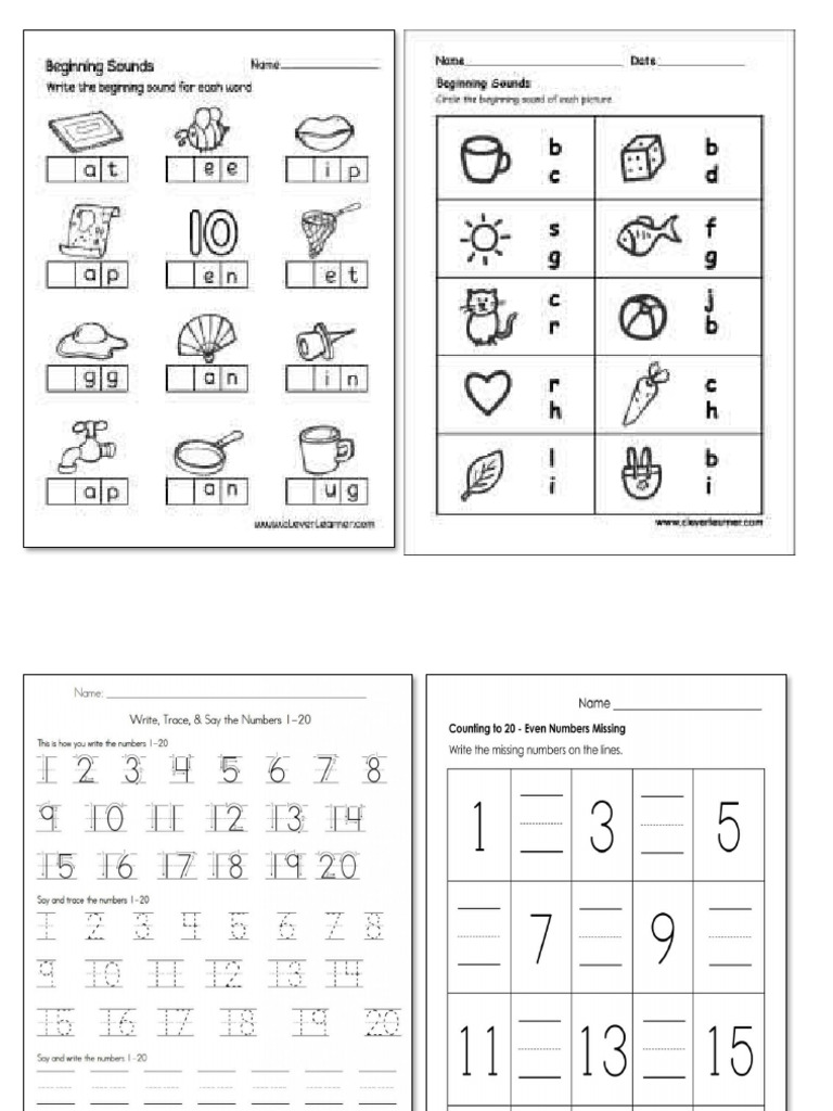 Activity Worksheet | PDF