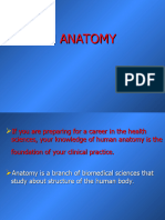 Anatomy Intruduction