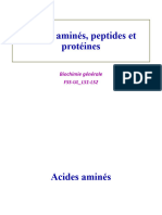 Acides Aminés, Peptides Et Protéines
