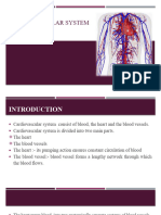 Cardiovascular System-Blood Vessels