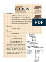 Glucolisis Infografía 