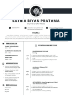 Satria Biyan Pratama: Curriculum Vitae