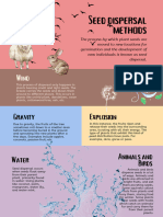 Seed Dispersal Methods Poster