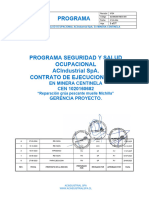 Programa: en Minera Centinela CEN 1020160682 Gerencia Proyecto