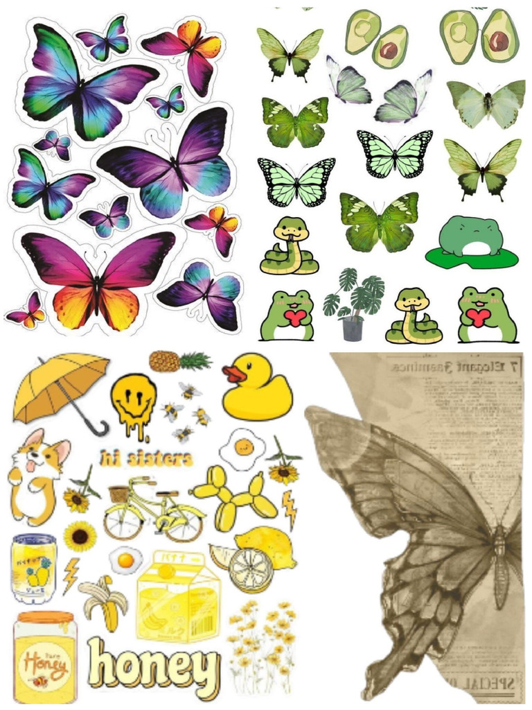 Introduction Philosophy Pdf