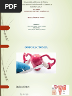 Colocación de Catéter Doble J | PDF | Sistema urinario | Riñón