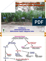 Innovative Approaches To Augment Milk Production Through Feed and Fodder Management