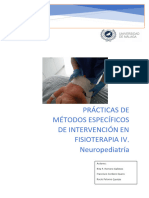 Manual Practico Meif IV Ver 9 Definitivo