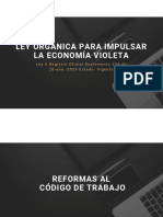 LEY DE ECONOMIA VIOLETA Reformas Laborales