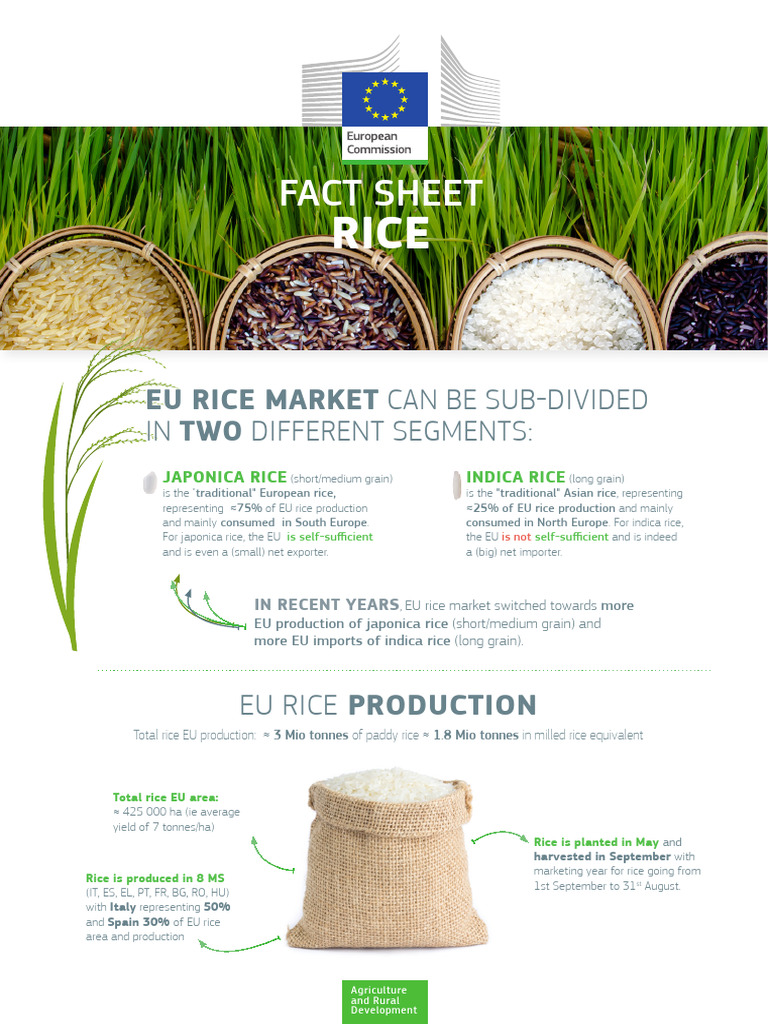 EU Rice Production and Trade Overview | PDF | Rice | Economies