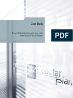 Ecostar Plan - Project Risk Analysis Insights For A Multi Million Eur Oil Gas Project